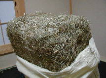 ����w�C�L���[�u