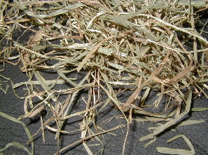 �q���̃A�b�v