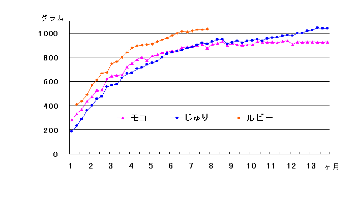 �̏d�O���t