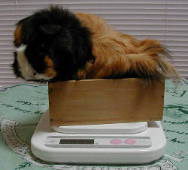 �̏d�v���R