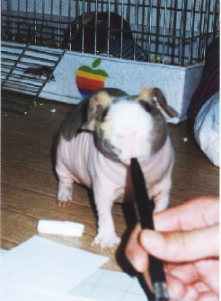 �����႟�����Ȃ��˂�