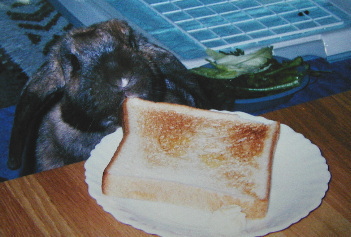 ���������[