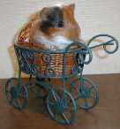 ���f������݂����ł���