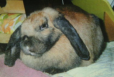 ���Ђ����J�����