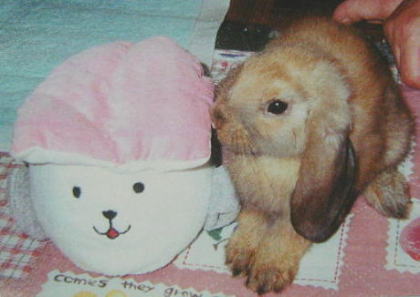 ���ьZ������