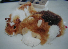 �����h�[��������������������ł��`