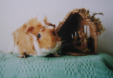 �����������f������E�E