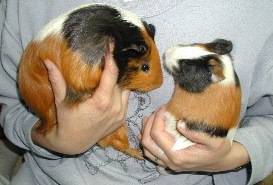 �������������