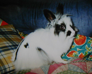 �͂����I�̃|�[�Y