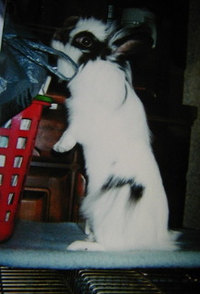 �����C�ɂȂ�́E�E�E