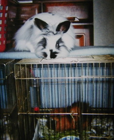 �����B�Ȃɂ�����]