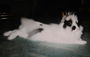 �݂�����[