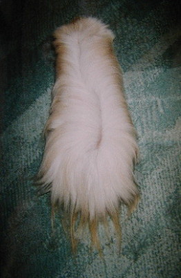 �ォ�猩���X�R�b�g����B�����ڂ͓V�R�ł��`