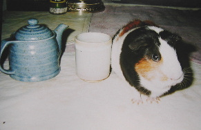 �����ӂ�|�[�Y