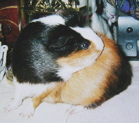 �|���|��