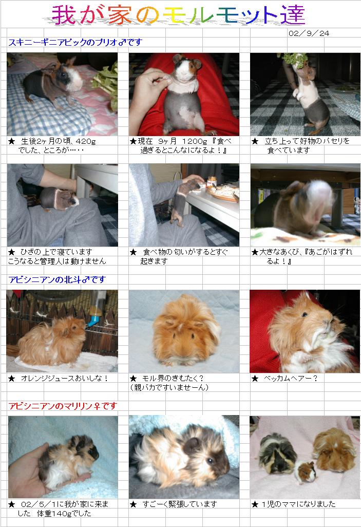 hide����̃�������񂽂�