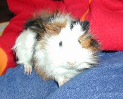 �͂��߂܂��ā�