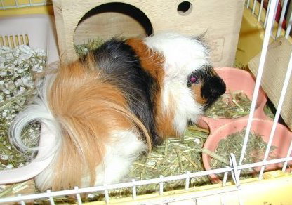 �q������������