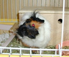 ���������A���̊p�x����ʂ��Ă�